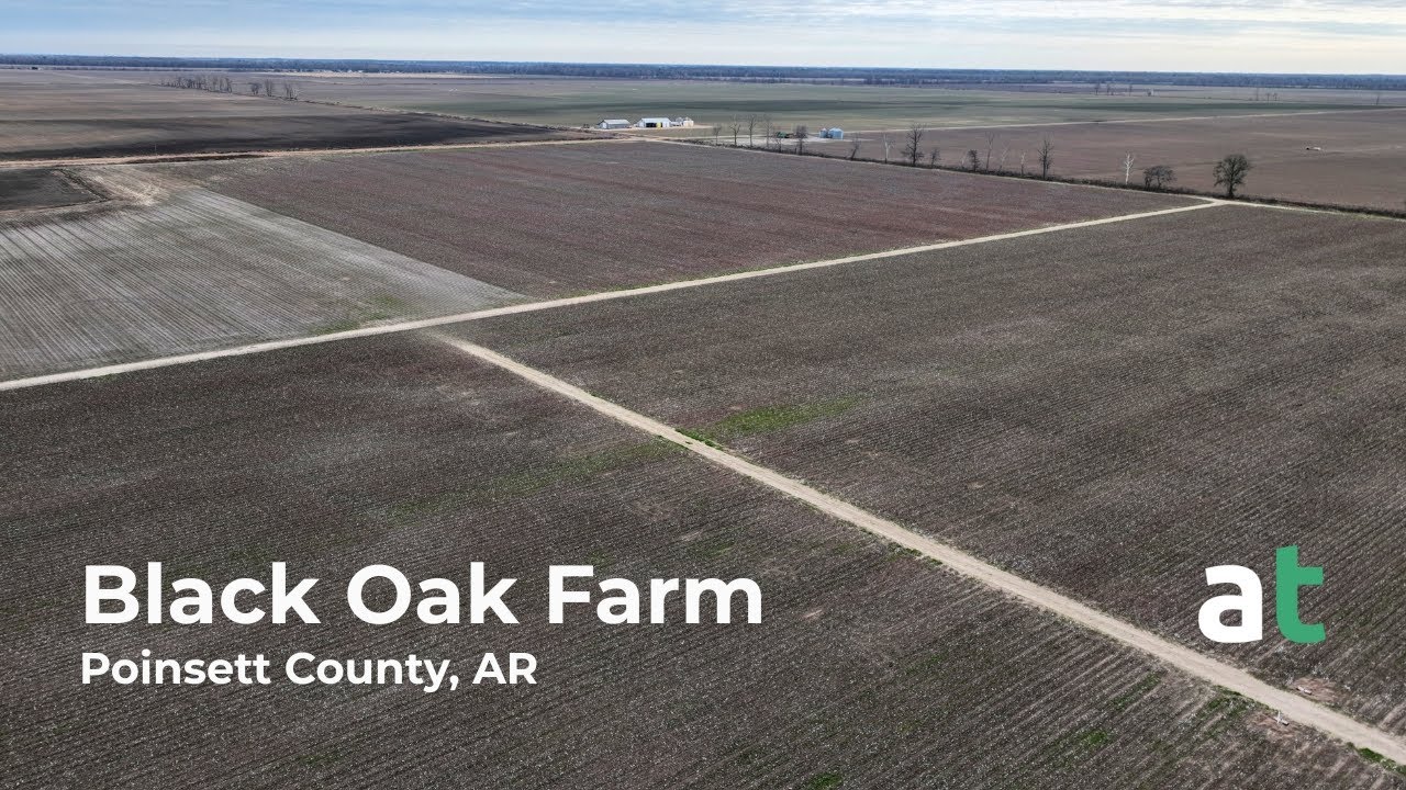 Black Oak Farm