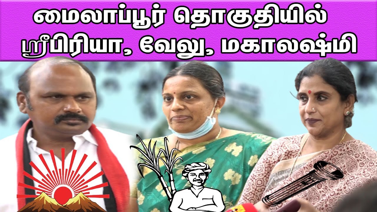 Mylapore candidate MNM Sripriya, DMK Velu, NTK Mahalakshmi files nominations | nba 24x7