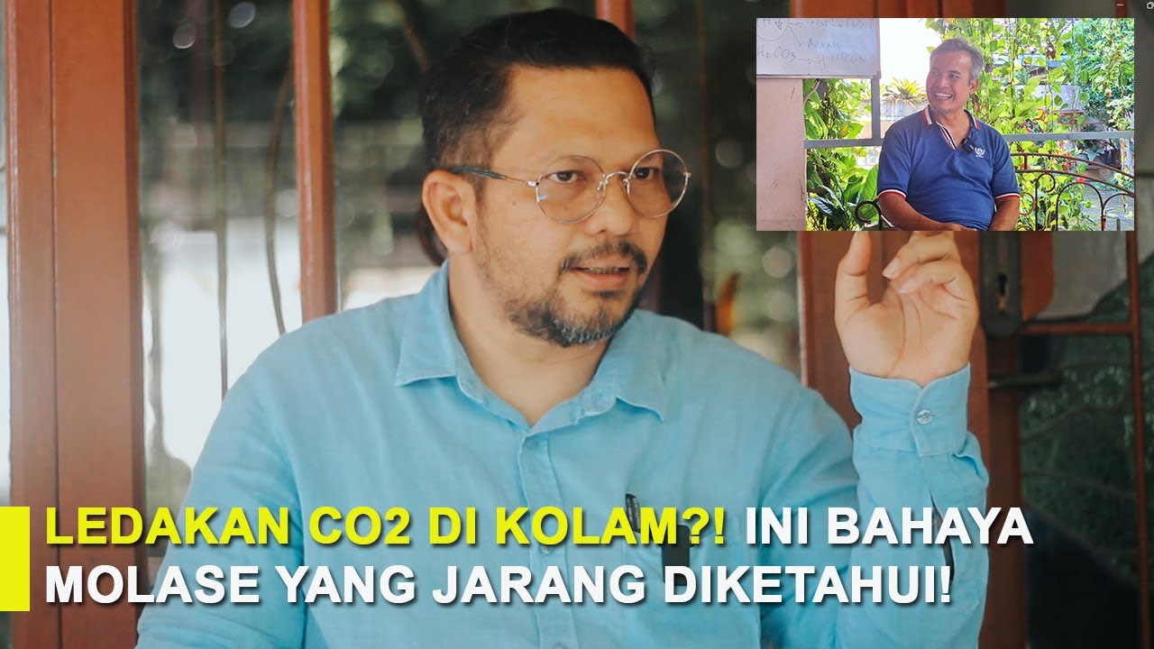 Ilmu Bioflok Asli dari Murid Sang Penemu Bioflok: Ternyata Masih Banyak yang Salah Kaprah!