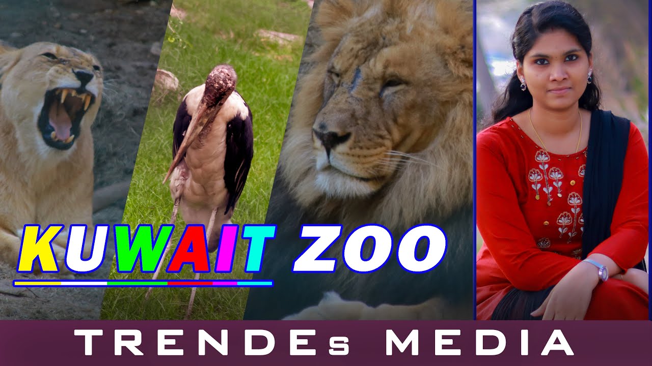 Kuwait Zoo Tour 2020