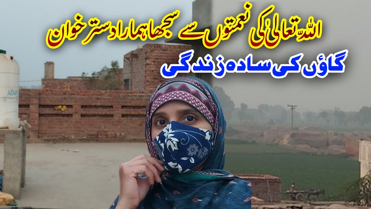 House Wife Village Vlog  | Pakistani Home Cooking  | Tahreen Village Vlog