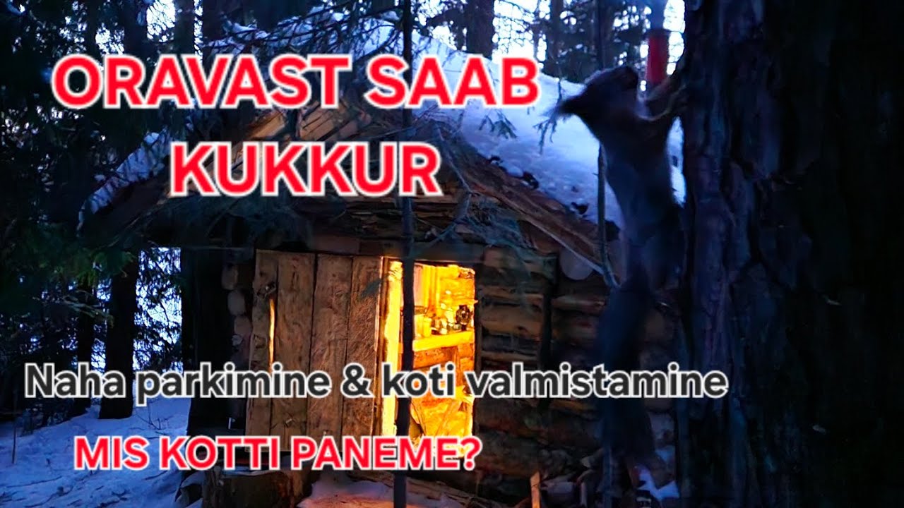 Orava naha parkimine ja kotikese valmistamine