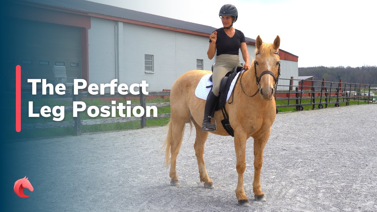 The Perfect Leg Position