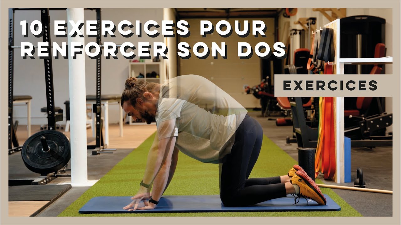 10 exercices pour mobiliser son dos et diminuer ses douleurs ! 👌