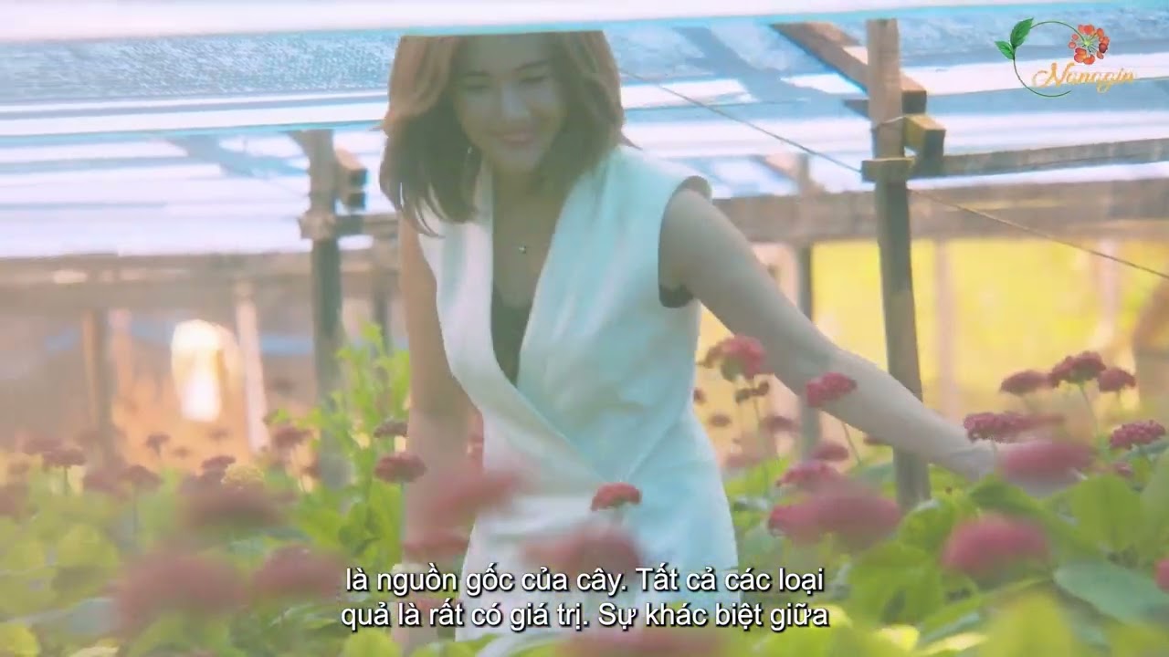 Korean Ginseng Journey 2025 | Discover the Power of Ginseng Berry