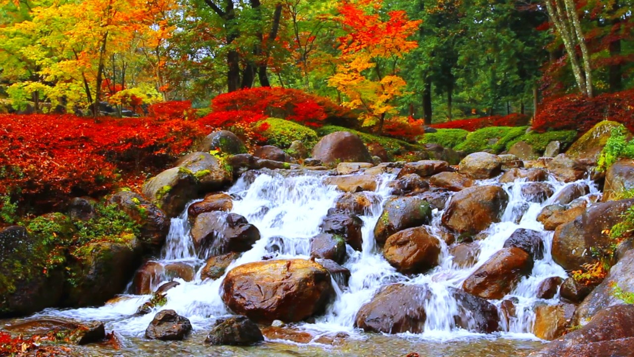Small Waterfall in a Colorful Autumn Forest – 3 Hours of Peaceful Fall Ambience