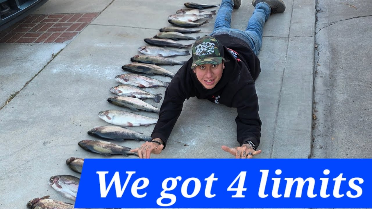 Another day trout fishing  #trout  #troutfishing #powerbait #lakefishing #rainbowtrout #powerbait 