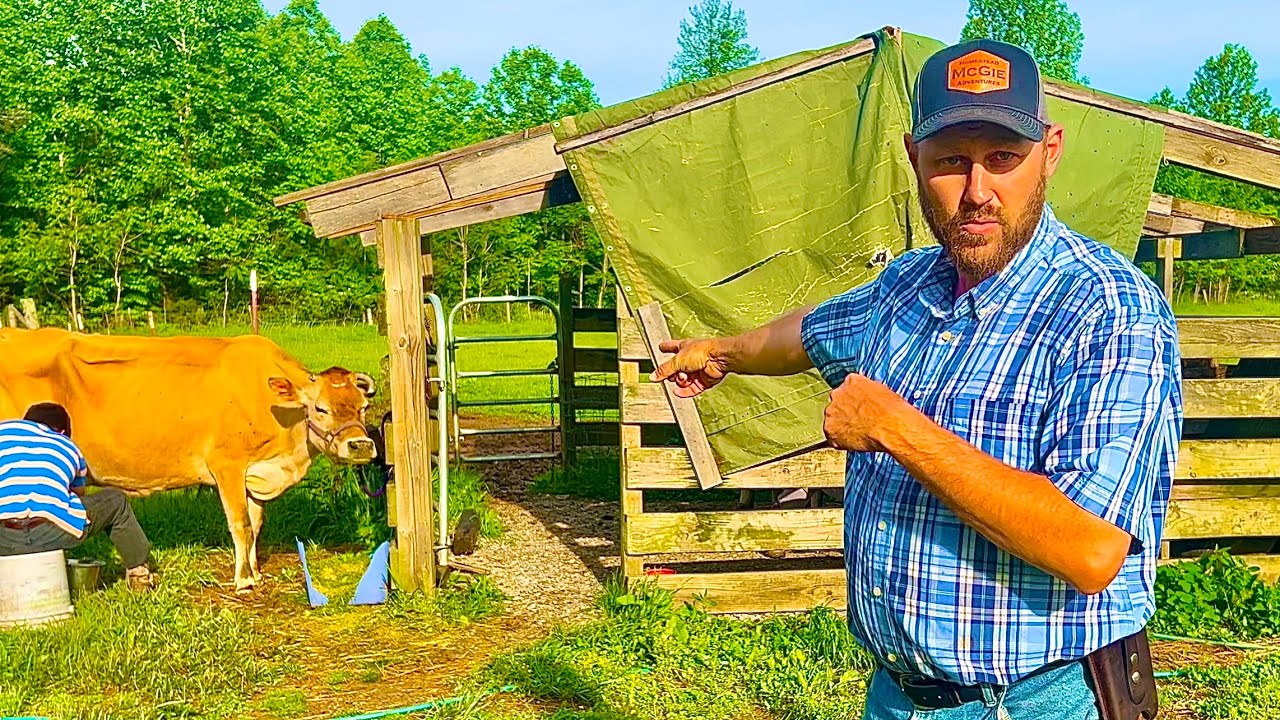Free feed in your backyard! Genius boys do it AGAIN!