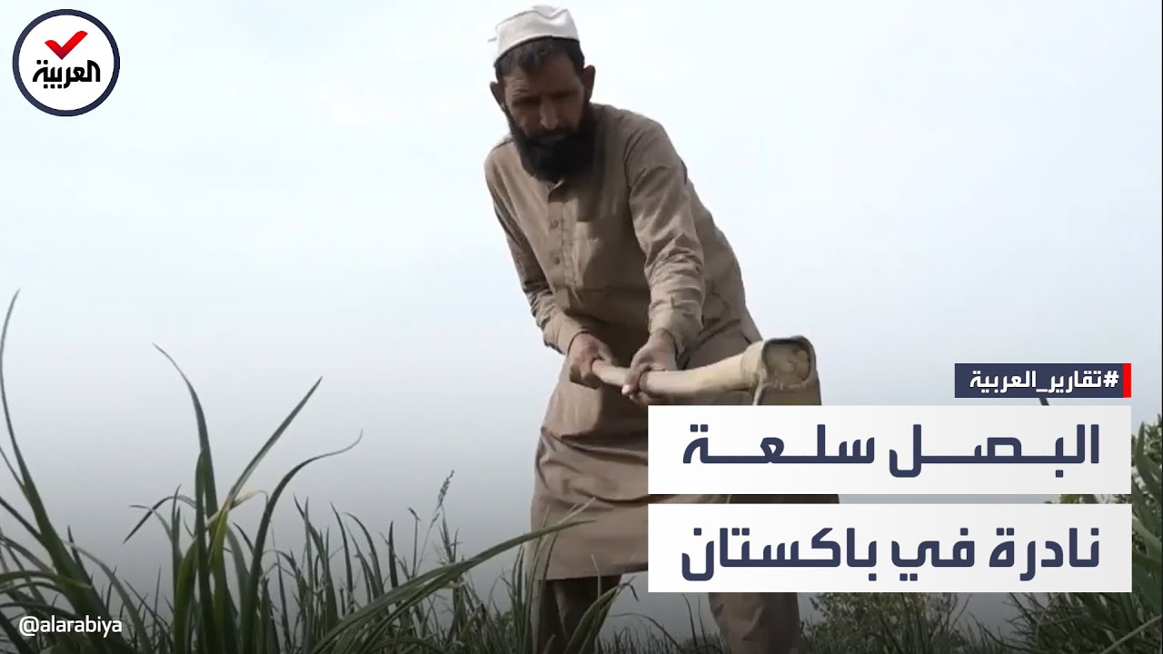 أزمة في باكستان بسبب البصل.. والقادم قد يكون أسوأ