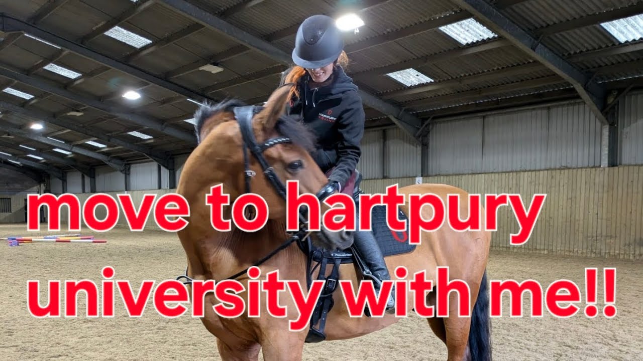 Moving to Hartpury university!! Equine yard and accommodation 