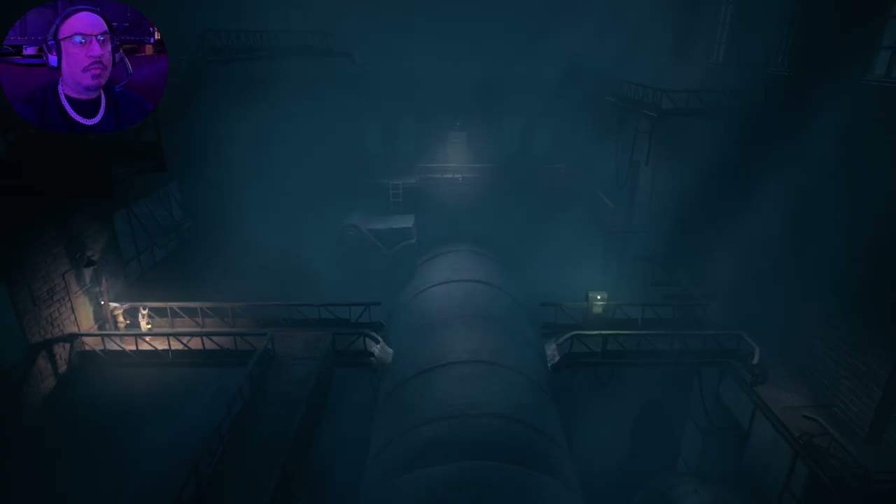 ReAnimal - a Fun game