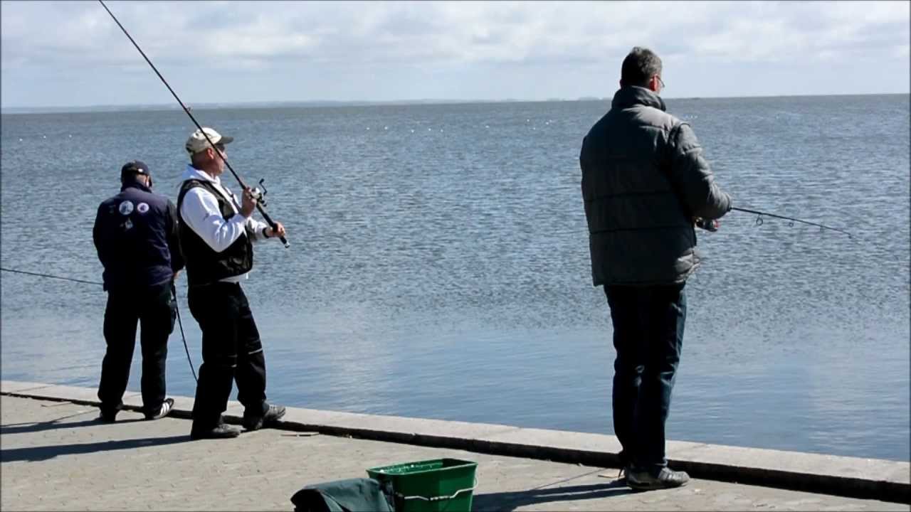 Heringsfestival 2013 an der Schleuse in Hvide Sande