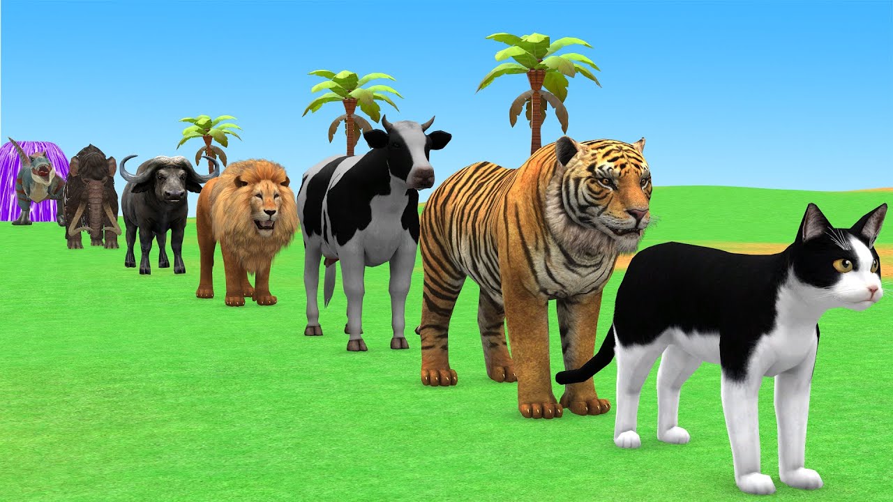 Long Slide Game with Cow Elephant Gorilla Hippopotamus Tiger 3d Animal Game Funny 3d Animals