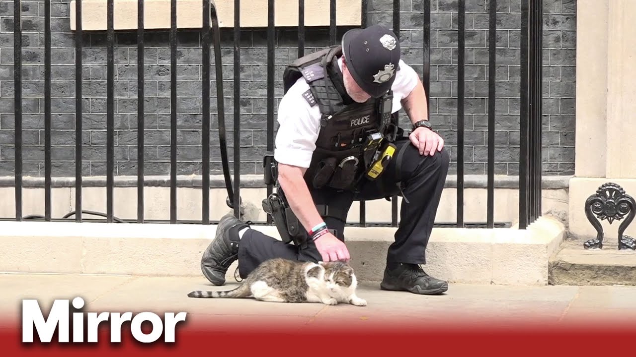 Police officer strokes Larry the cat outside No 10 as PM vows to carry on role