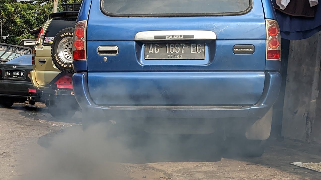 Service Panther asapnya putih seperti foging nyamuk