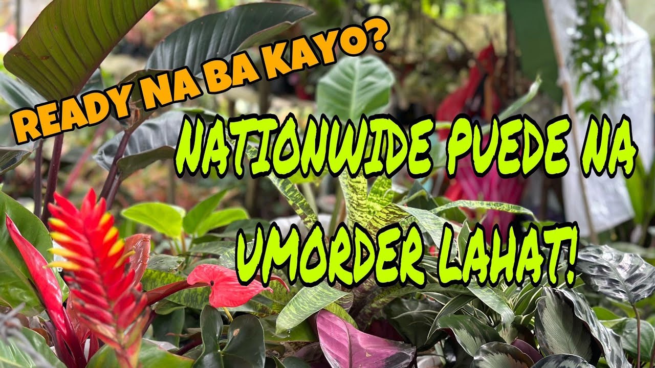 NATIONWIDE NA MAKAKAORDER NA LAHAT!