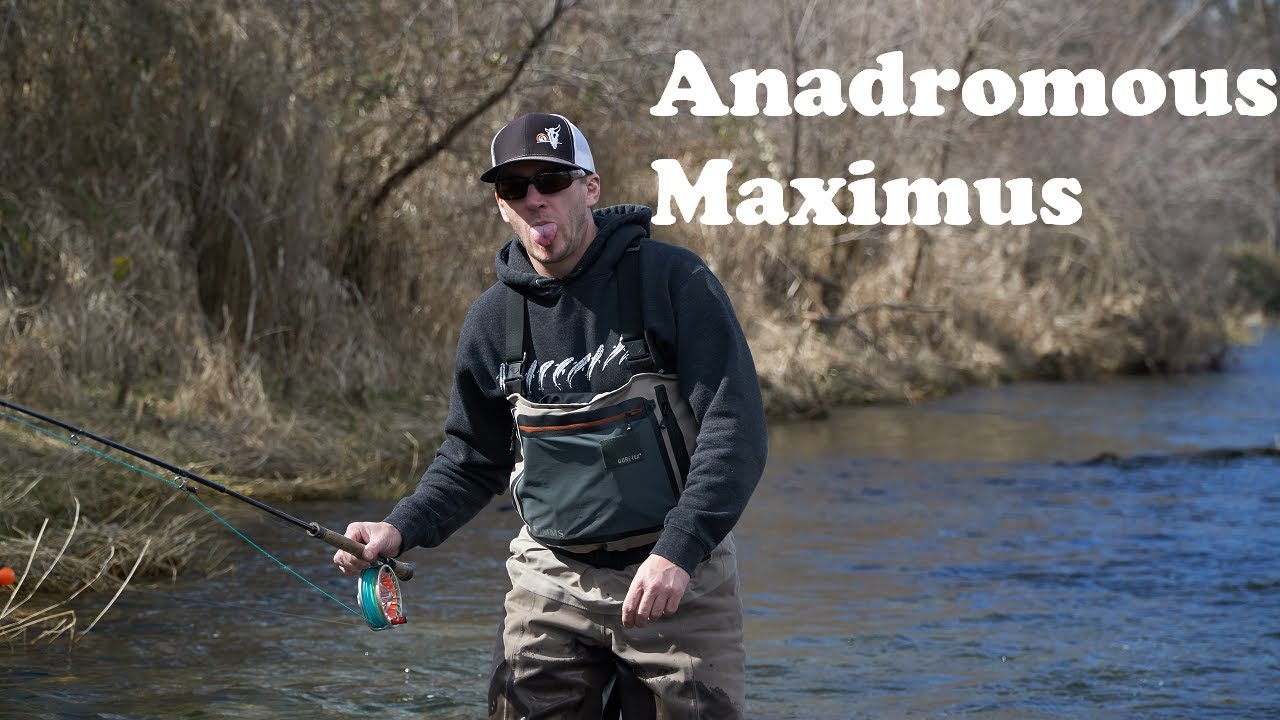 Anadromous Maximus - A Fly Fishing Film