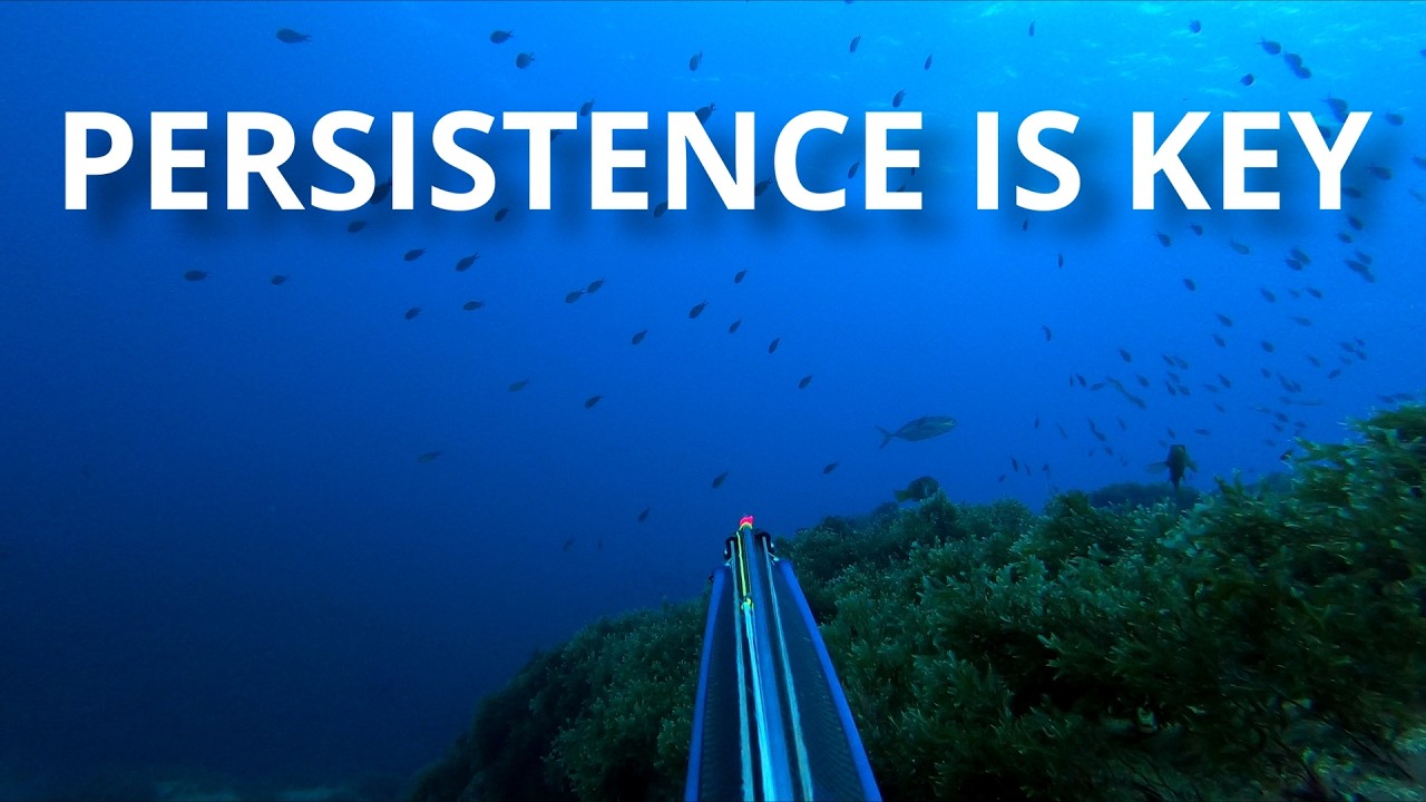 Persistence is key - Spearfishing Malta