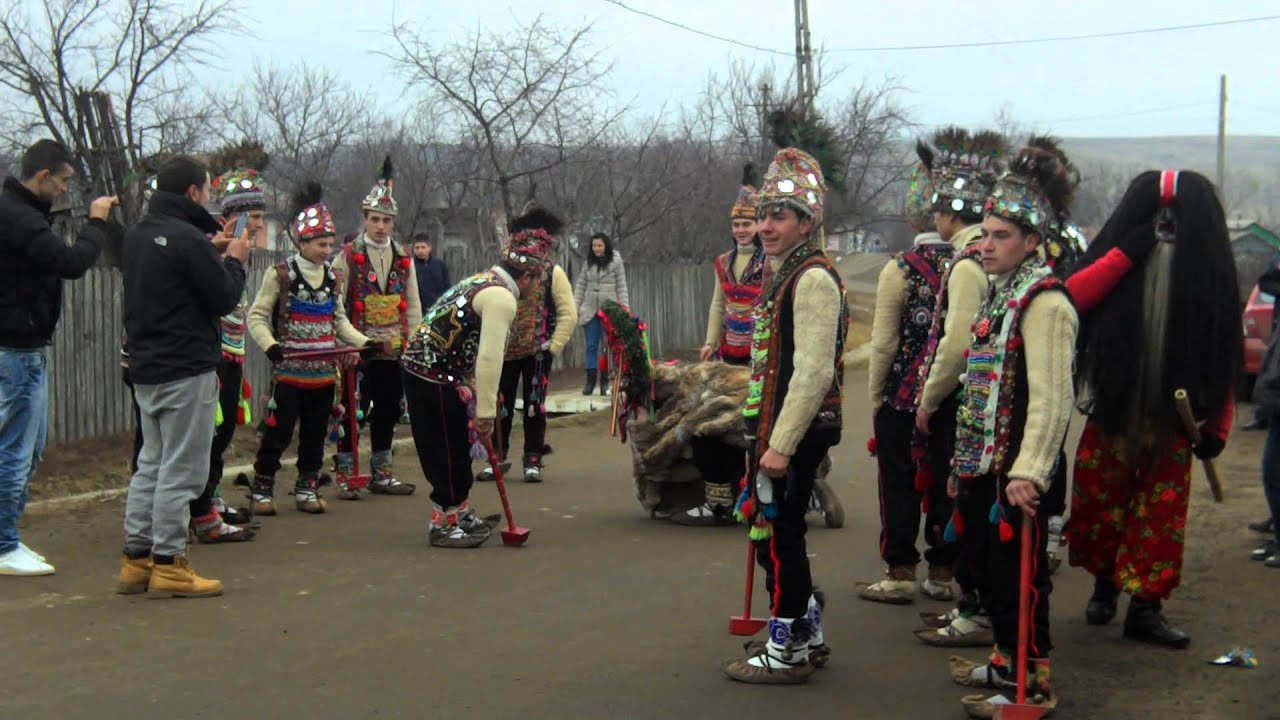 CERBUL DE LA BUHALNITA-IASI