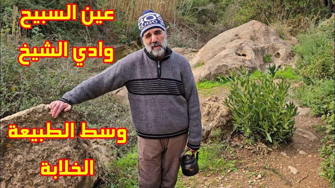 عين السبيح في وادي الشيخ جلسة شيقة وسط الطبيعة الخلابة