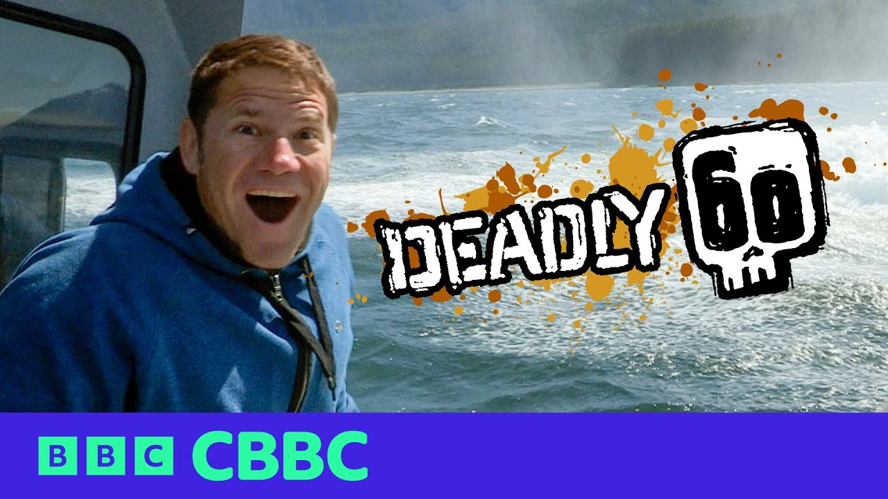Top 5 Best Moments | Deadly 60