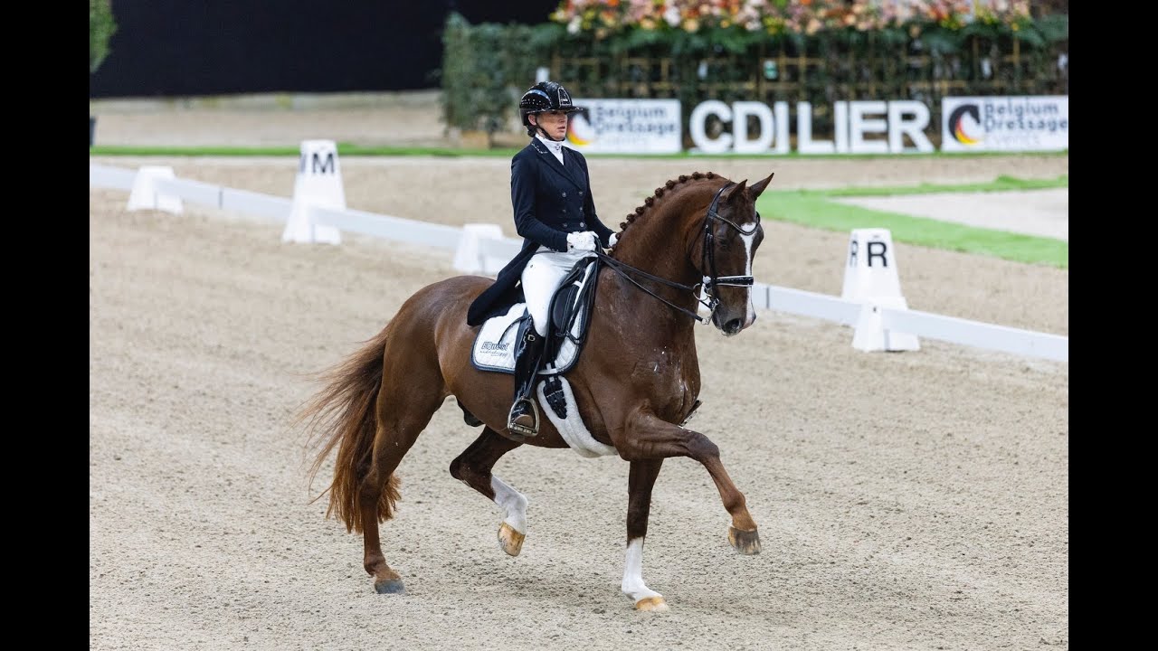 Marlies van Baalen and Habibi DVB N.O.P. CDI4* Grand Prix Freestyle to Music Lier 2025