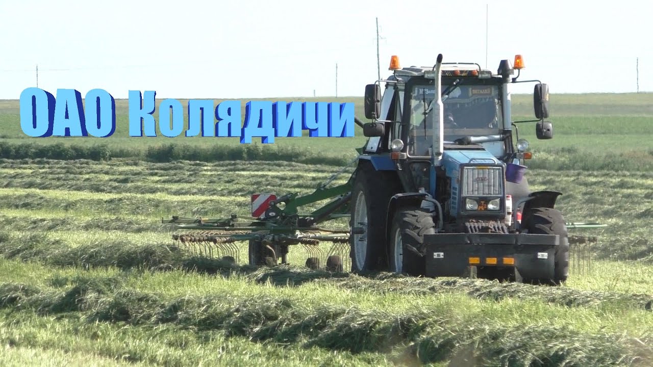 MTZ Wei&szlig;russland mit Heuwender. Krone Swadro 1400 Plus. Rechen Heu in Schwaden