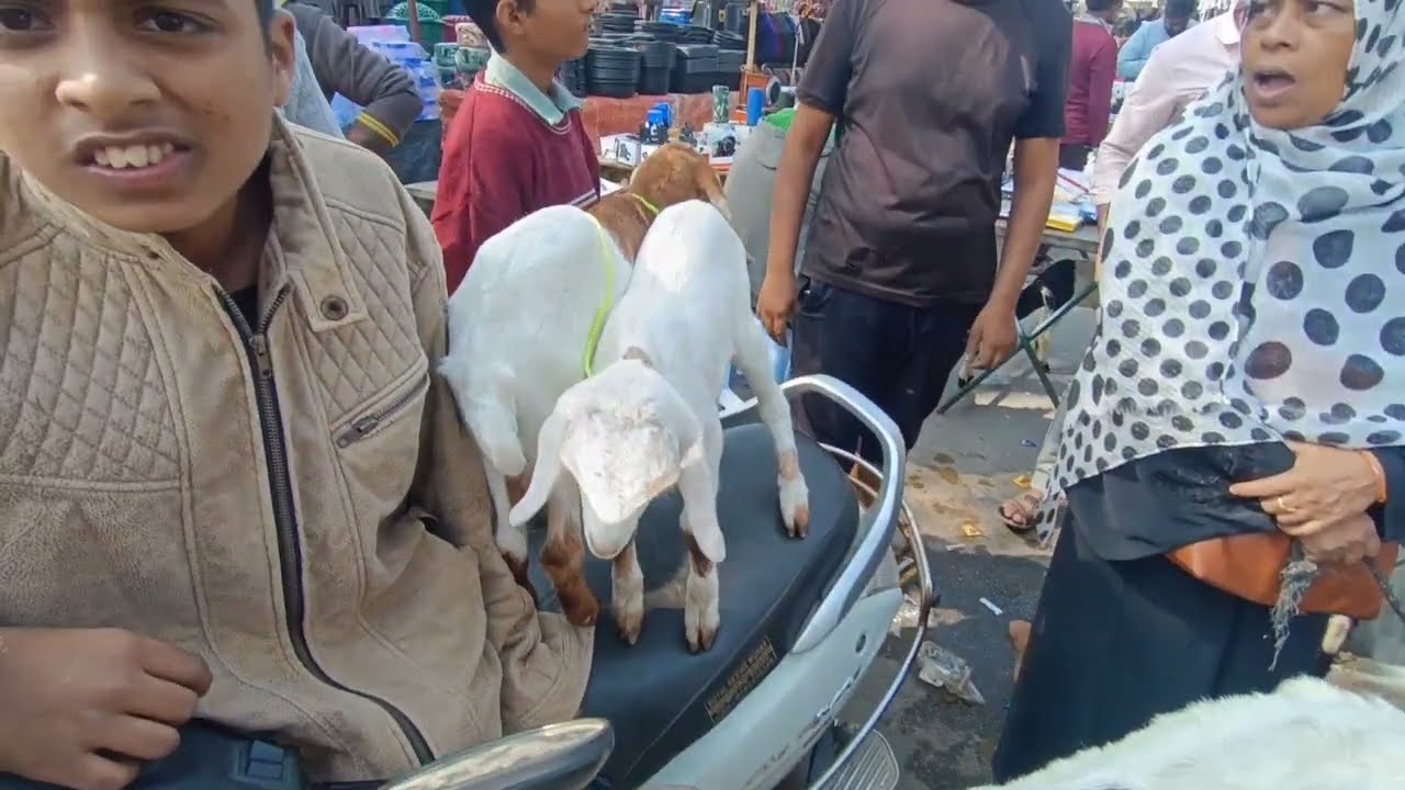 Before You Buy a Pet | Erragadda Sunday Market Reality || Hyderabad Telangana