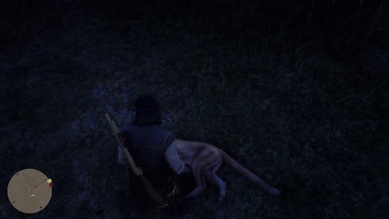 Red dead redemption 2 replay ps5