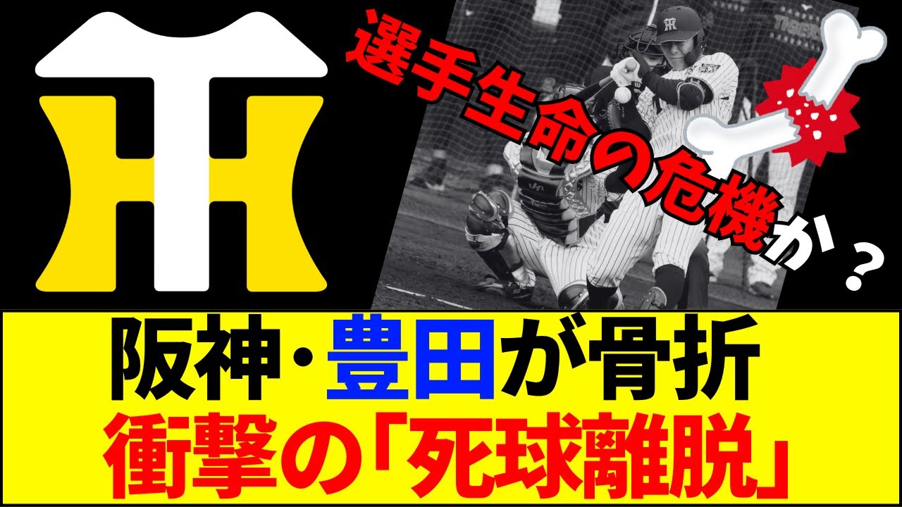 【速報】【阪神悲報】豊田寛、味方の死球で「右手首骨折」の衝撃…ファンから「ざまあ」と「同情」が入り乱れる地獄絵図に【ネットの反応】