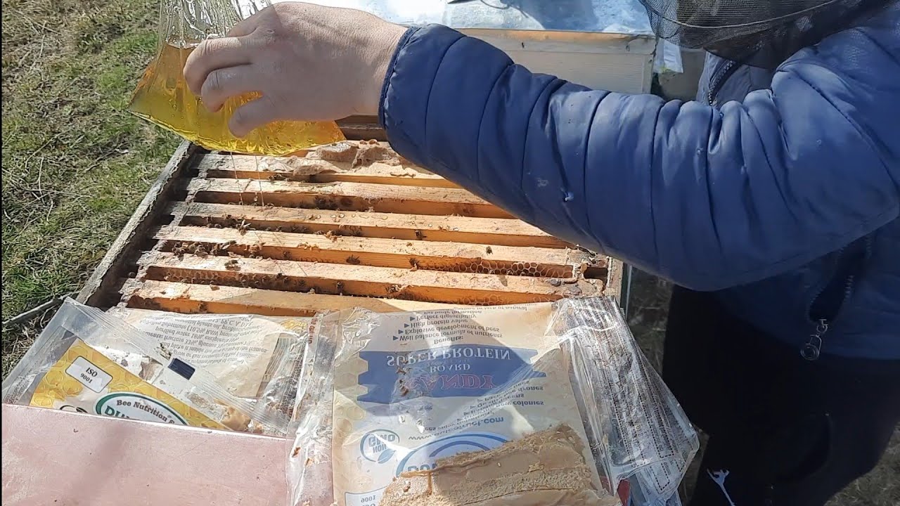 Echinoctiul de primavara - lucrari in stupina.