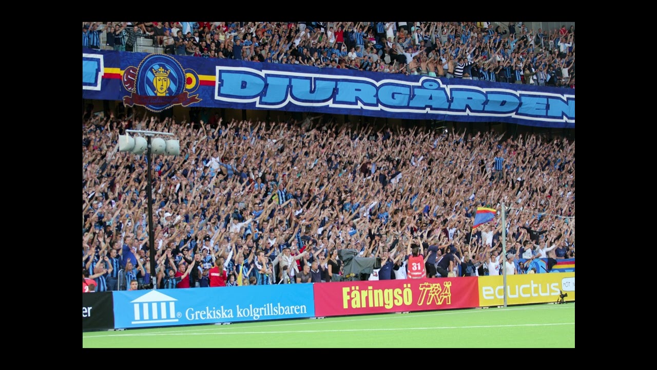 En man gick och såg på Djurgården
