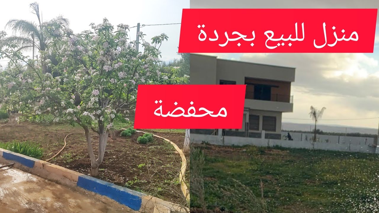 منزل للبيع بجردة محفضة جهة حامة عين الله مدينة فاس مساحة 1000 متر فيه بالماء والكهرباء همزة🤝🤝🫡