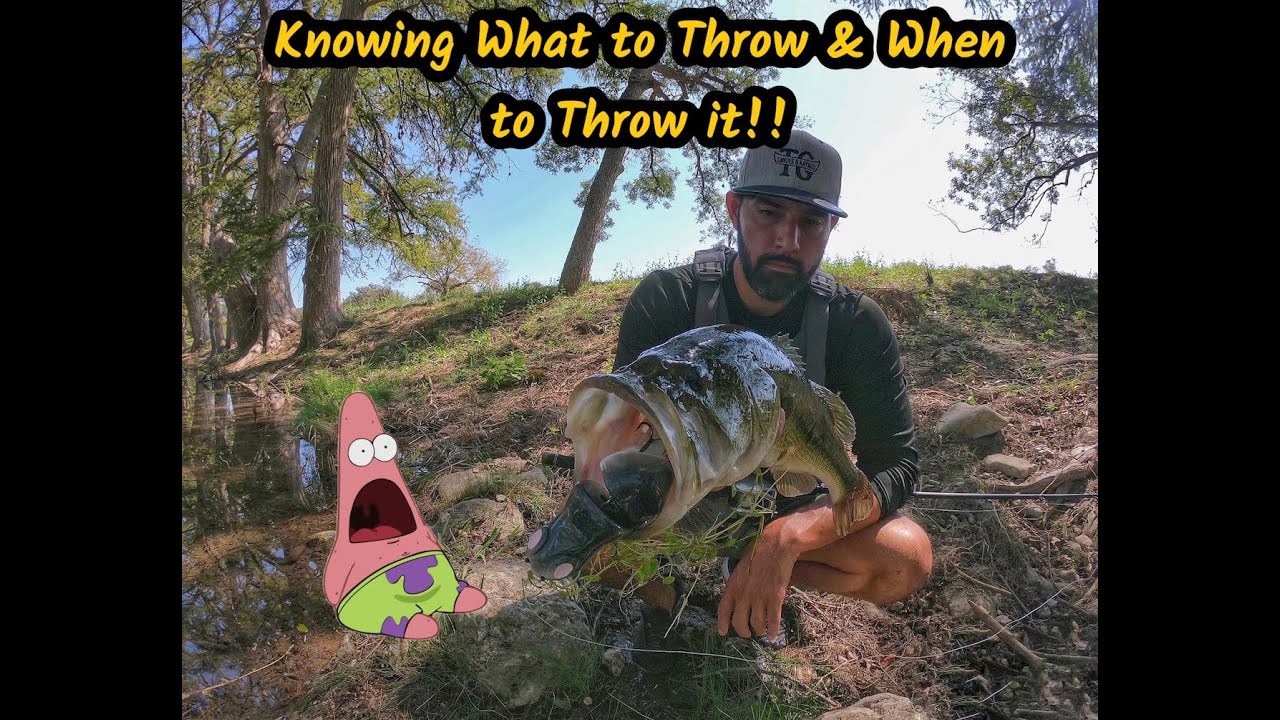Kayak Bass Fishing- Knowing What to Throw & When to Throw it 🧐😎‼️