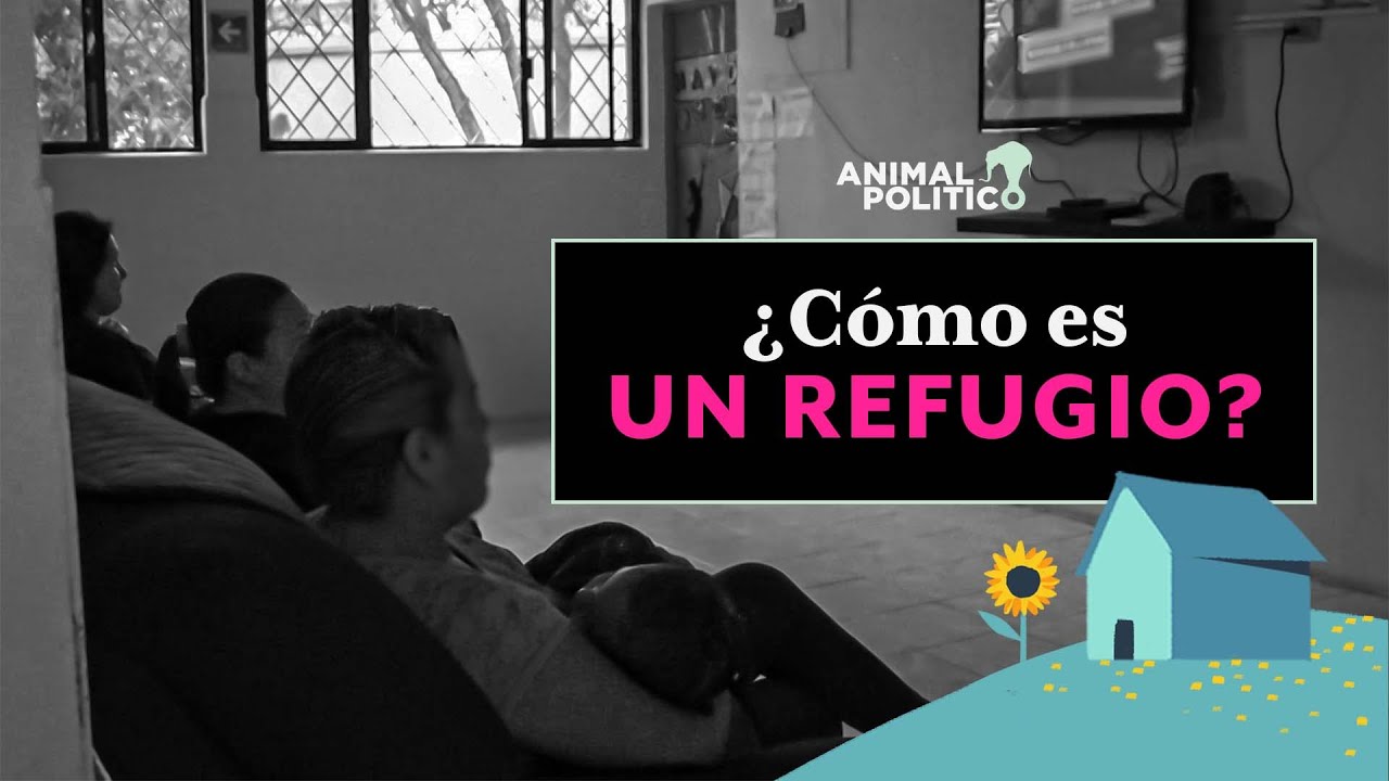 Refugios: techo seguro contra la violencia de género