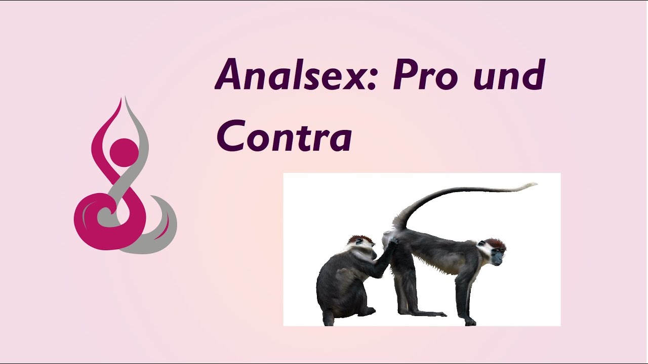 Analsex: Pro, Contra, Risiken und Schutz