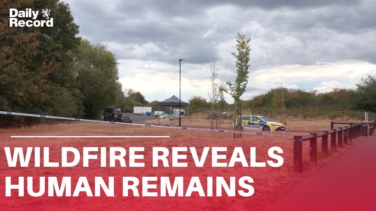 Murder inquiry launched after WILDFIRE reveals human remains in woodland