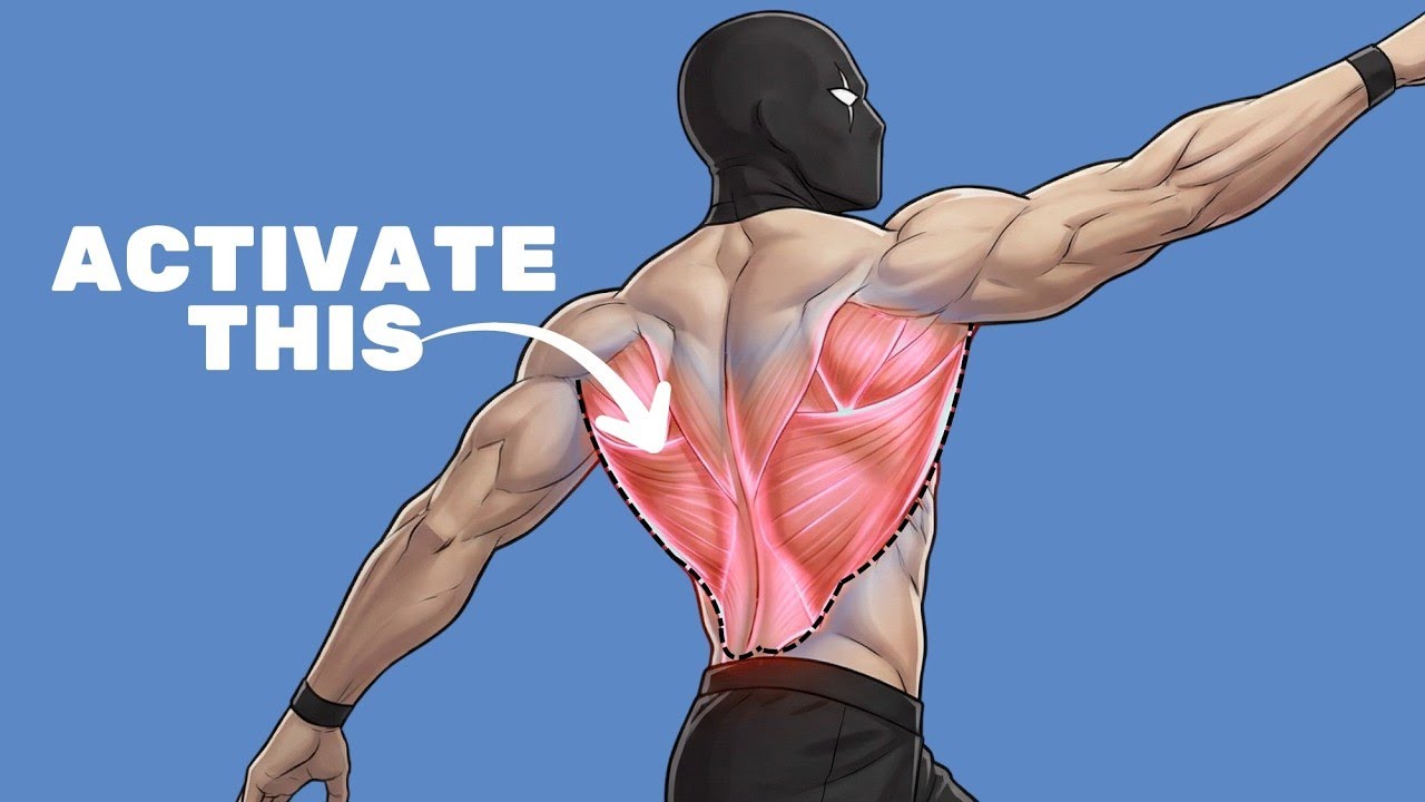 Get the PERFECT V Taper with These Calisthenics and Dumbbell Exercises