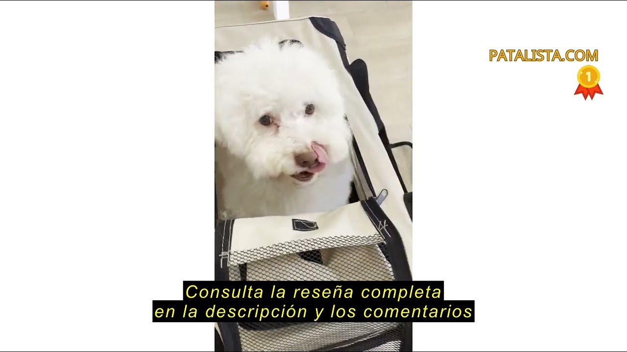 Reseña del lionto Transportín para Perros Bolsa transportín para Perros Transportín Plegable Autobox