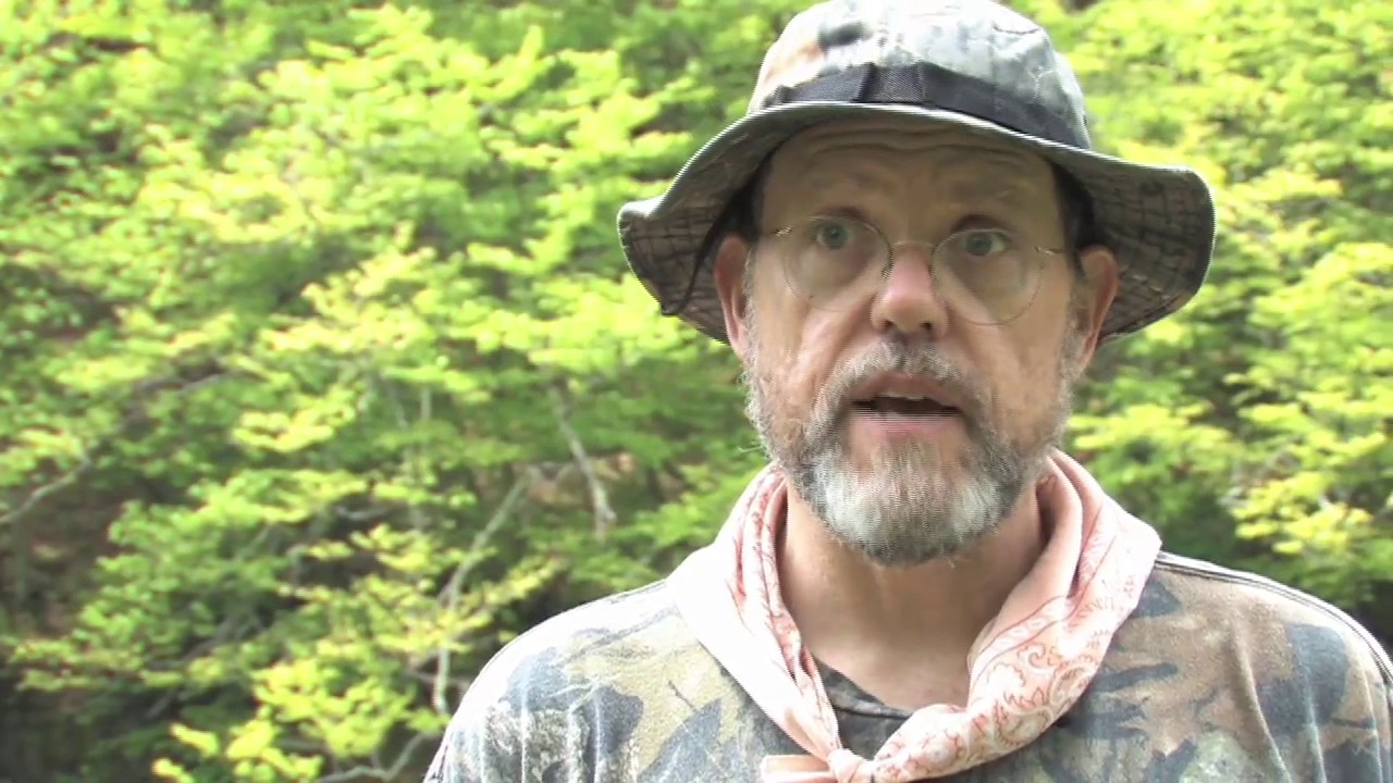 Tenkara: In the Land of Little Rivers | AvidMax