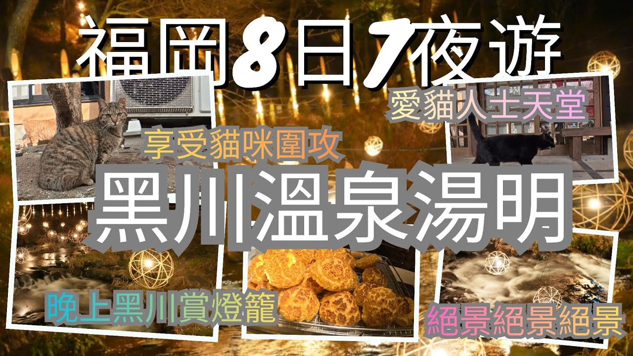 【福岡8日7夜自由行vlog】新手必去景點＋必吃美食全攻略 Day5/6 繼續黑川溫泉之旅！一生人一定要睇一次「黑川溫泉湯明」湯あかり 一場溫柔的竹燈盛宴！離開前都不忘與貓咪玩再道別🐱