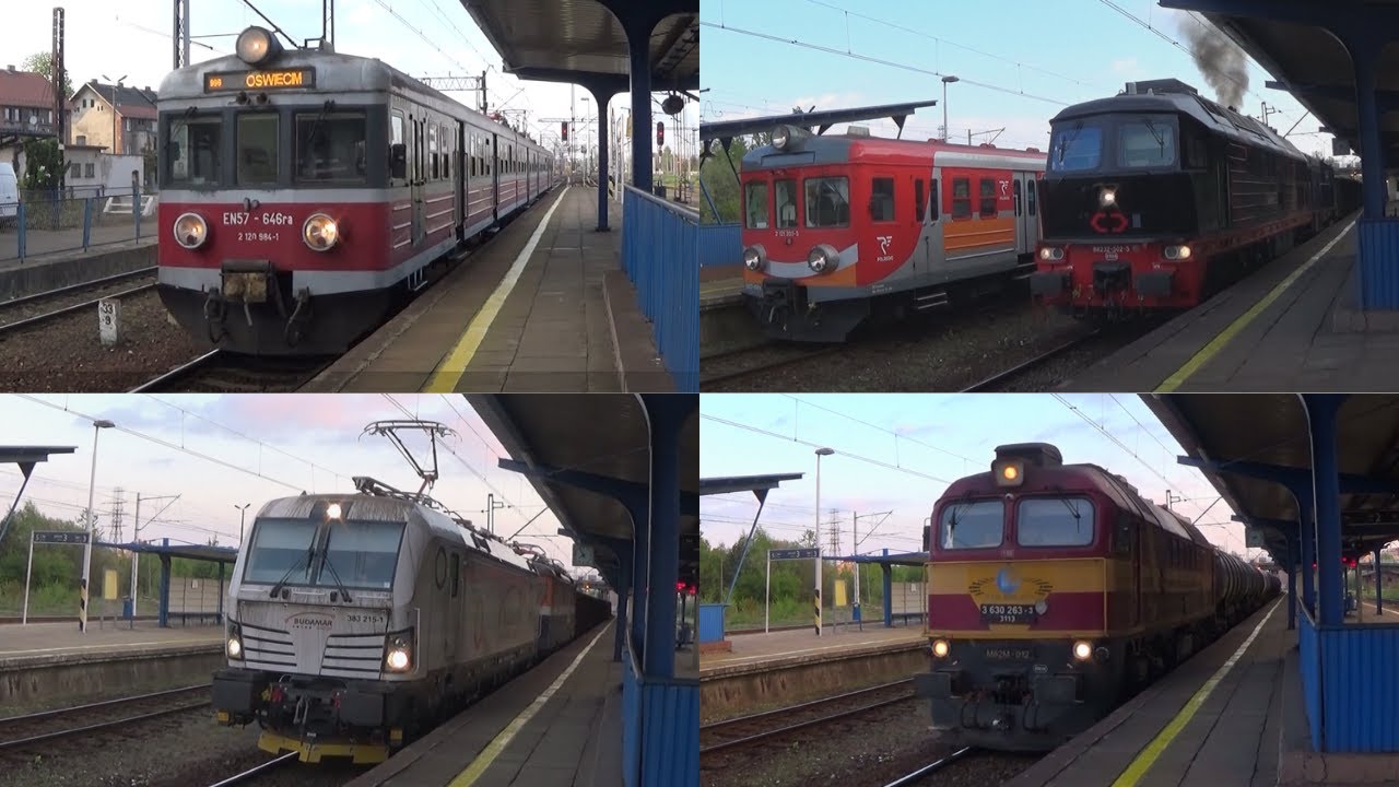 PKP Tarnowskie Góry - Trzy składy z Griffinem na czele, M62M Rail Polska, Ludmiła & Koziołek i inni