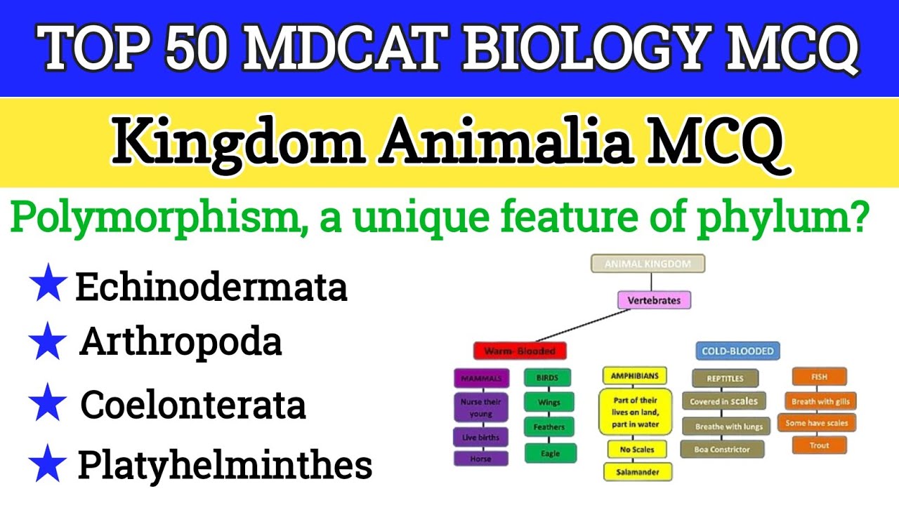 50 Kingdom Animalia MCQ for Entry Test l MDCAT 2025 MCQ | Chapter Wise Biology MCQ