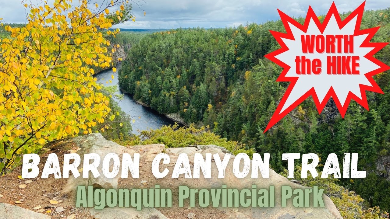 BARRON CANYON TRAIL @ Algonquin Provincial Park/Barron River/Hike at the Cliff