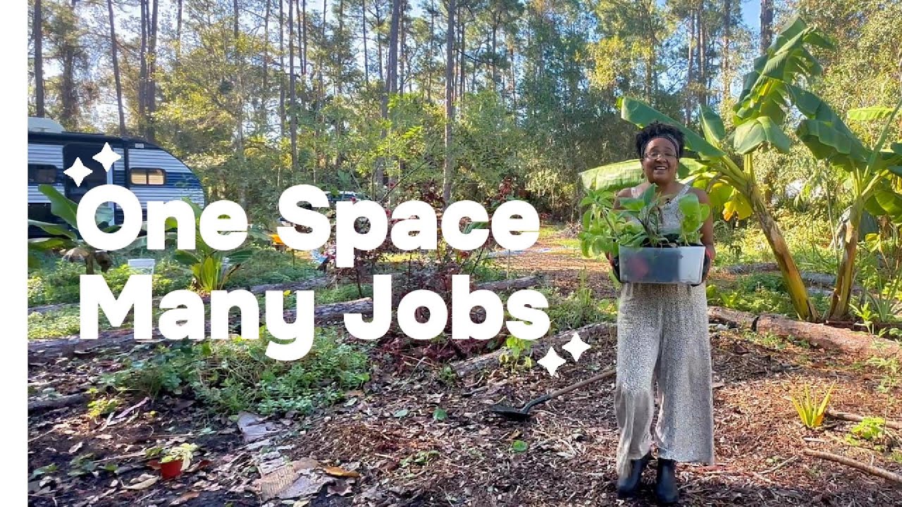 I Built a New Food Forest Guild! (Permaculture Principle #8)