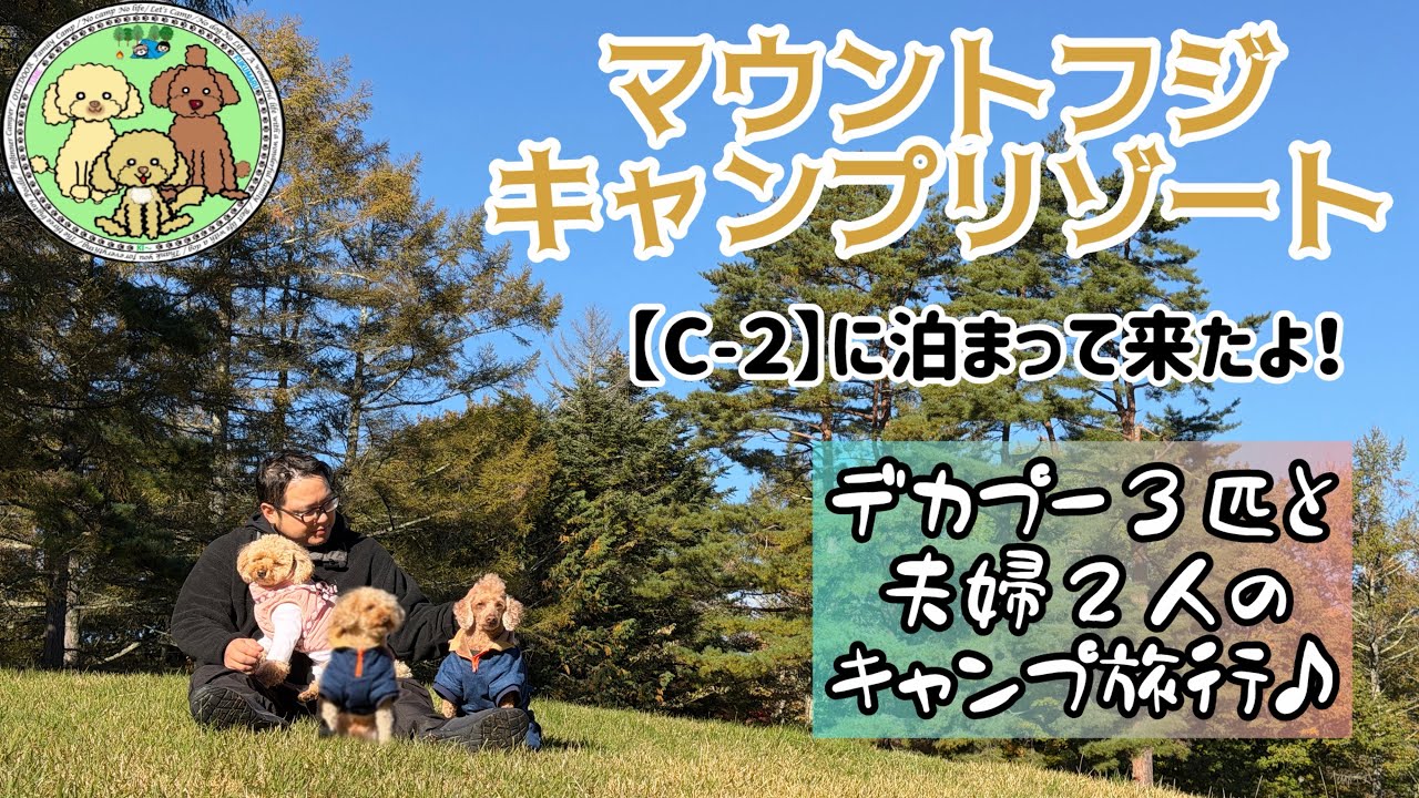 11月初旬、デカプー3匹とまたまたマウントフジキャンプリゾートへキャンプに行って来ました！