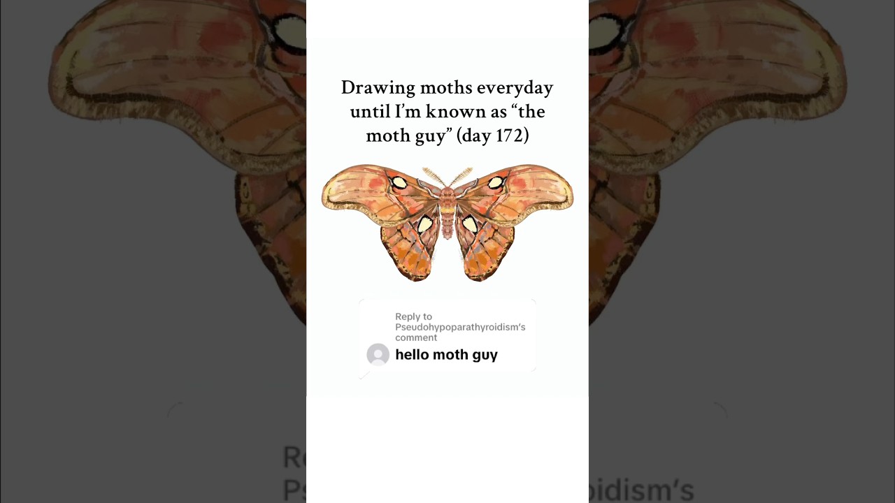 Here we go guys! Another moth!! #fyp #digitalart #drawing #moths