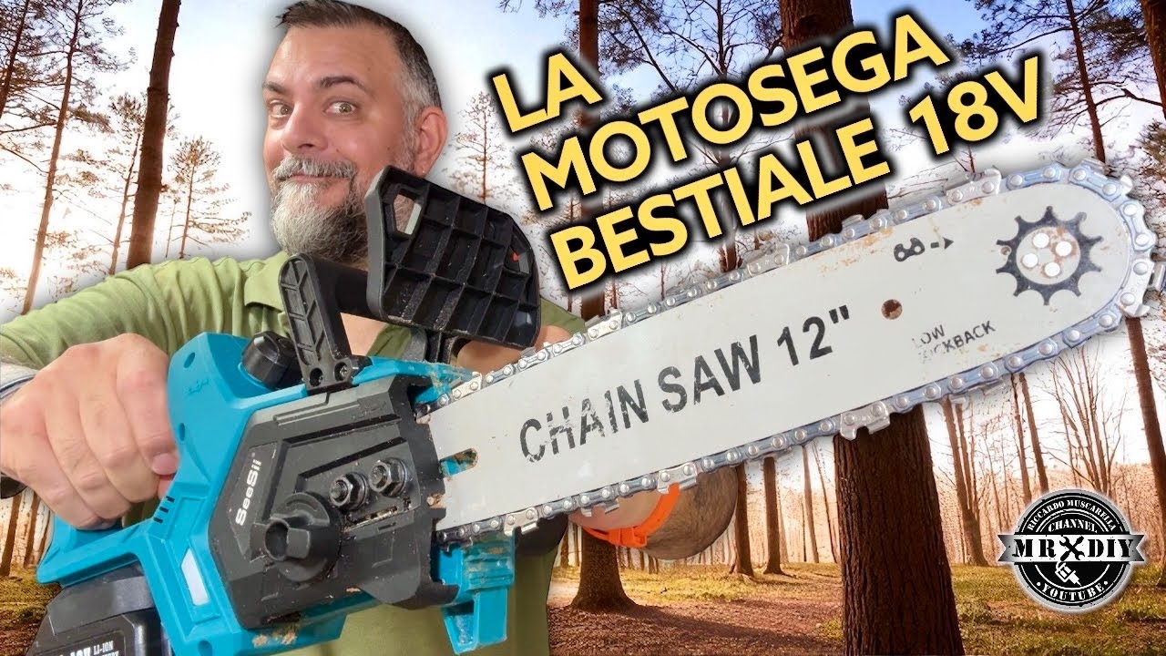Motosega ricaricabile con oliatore più venduta e potente su amazon. Potatura giardinaggio SEESII 12