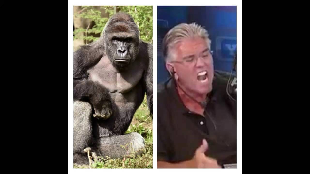 Mike Francesa Talks About The Cincinnati Zoo Incident 5-31-2016