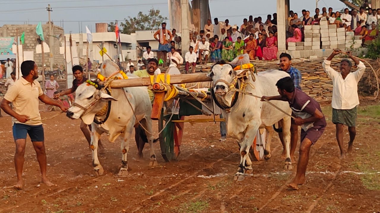 చింత్రియాల పూటి ప్రదర్శన 3వ జత